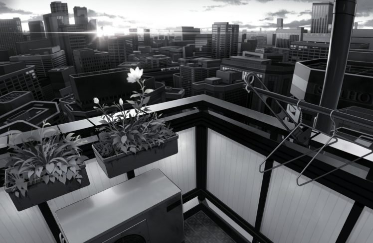 black, White, Flowers, Cities HD Wallpaper Desktop Background