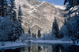 forests, Cliffs, Yosemite, National, Park