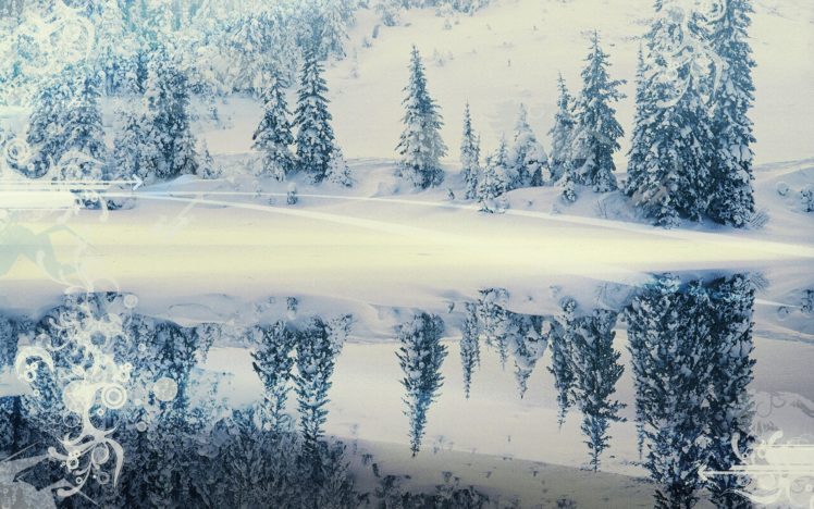 nature, Snow, Forests HD Wallpaper Desktop Background