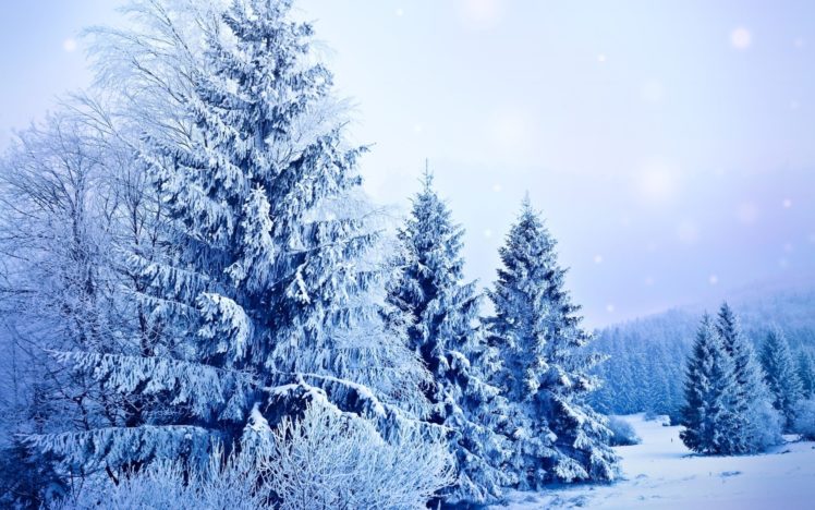 landscapes, Nature, Winter, Snow, Snowing, Snowflakes, Trees, Seasons HD Wallpaper Desktop Background