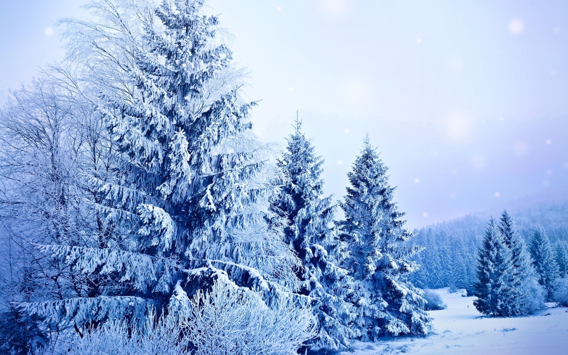 landscapes, Nature, Winter, Snow, Snowing, Snowflakes, Trees, Seasons Wallpaper