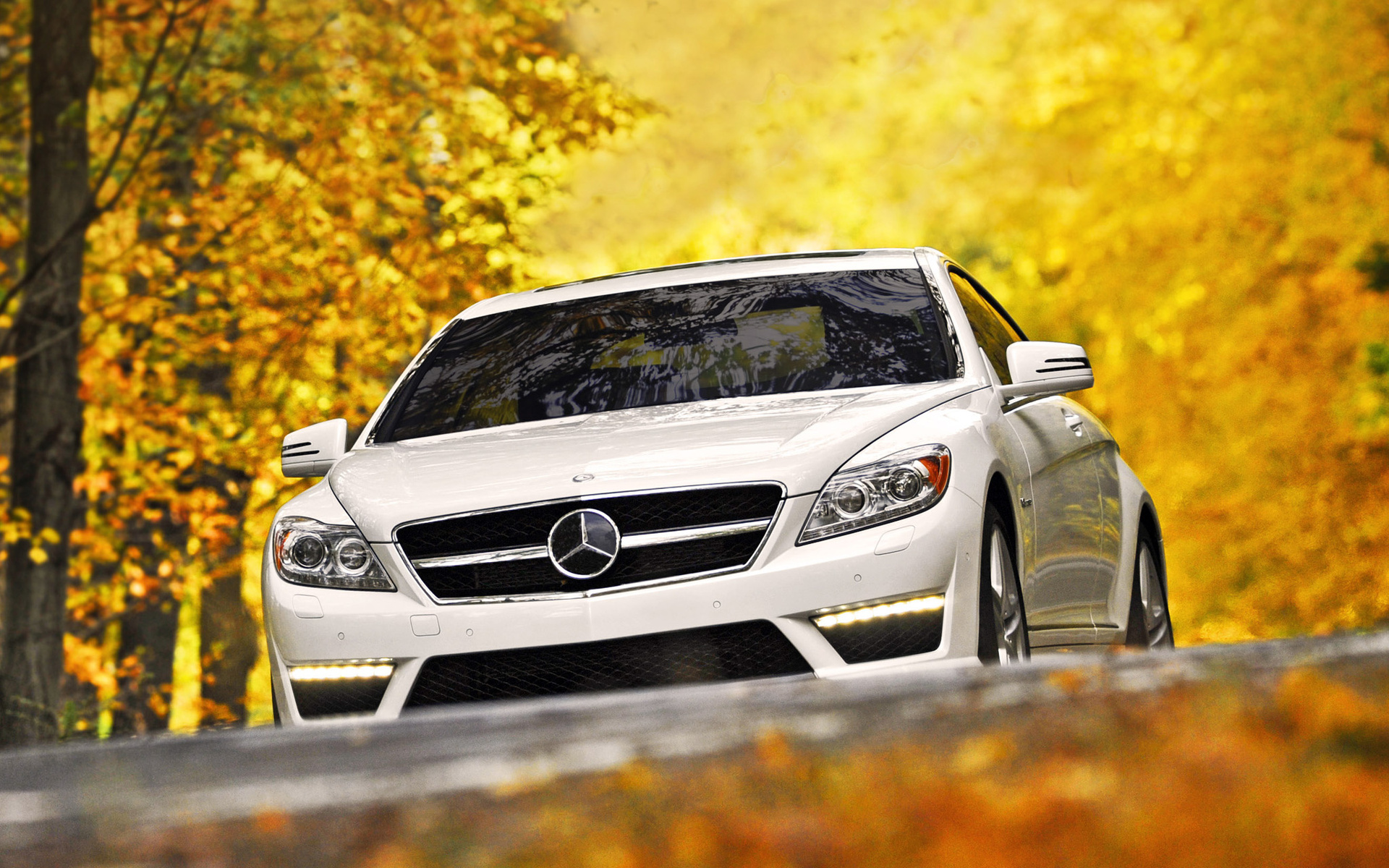 vehicles, Cars, Mercedes, Autumn, Fall Wallpaper