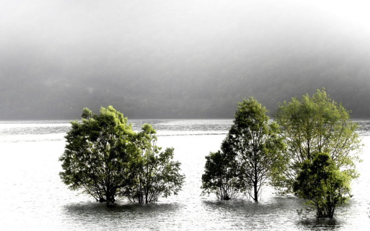 landscapes, Nature, Floods, Lakes, Rivers, Fog, Mist, Water, Trees, Mountains HD Wallpaper Desktop Background