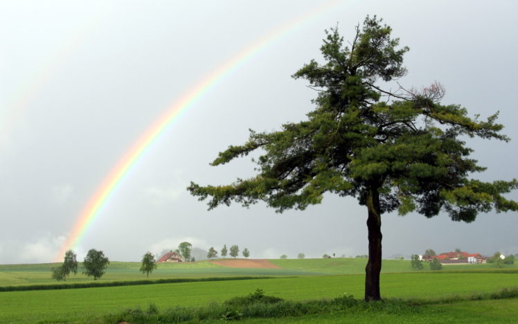 landscapes, Nature, Rainbow, Fields, Trees, Green, Grass, Clouds, Storm, Rain HD Wallpaper Desktop Background