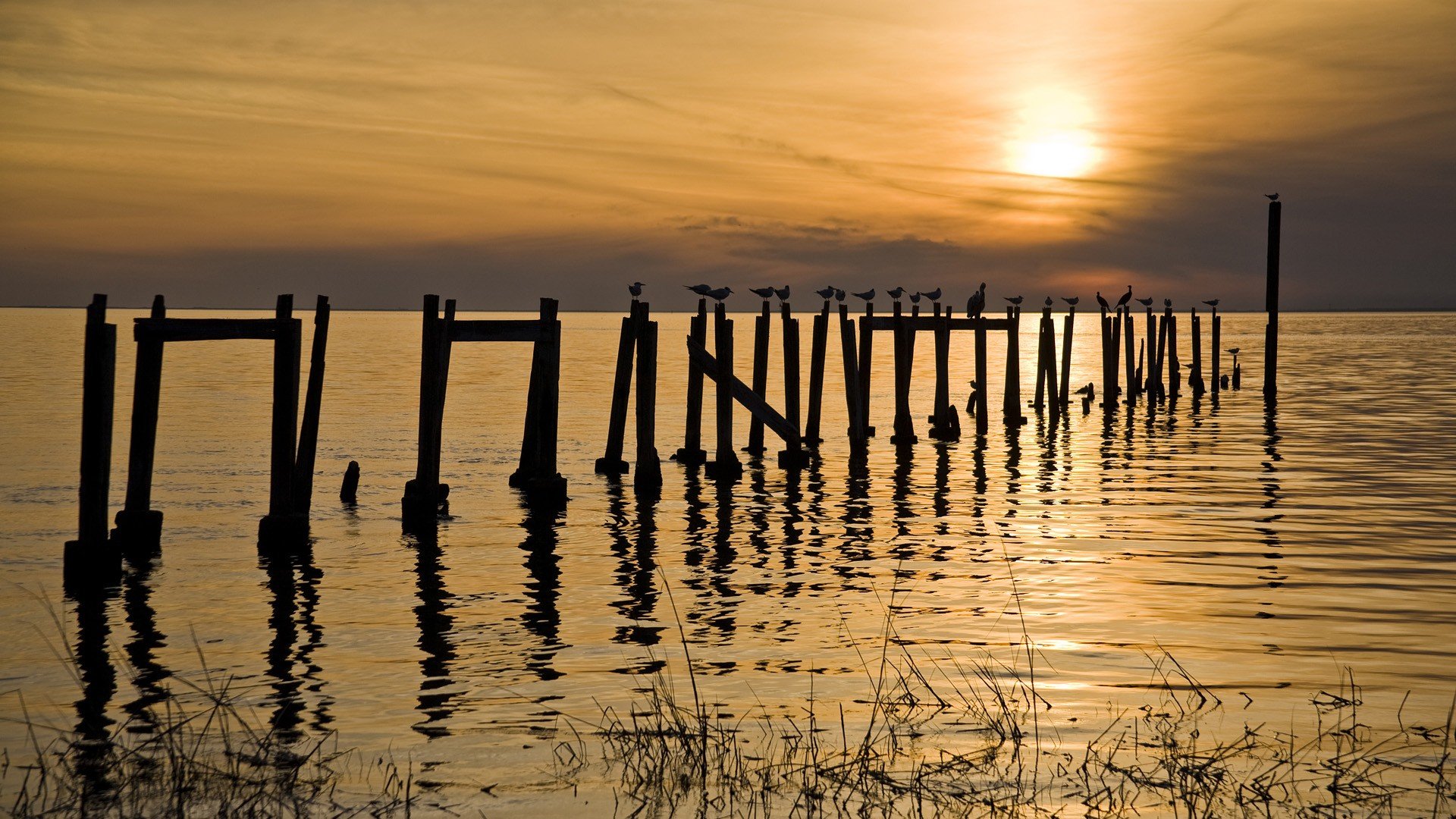 piers, Florida Wallpaper