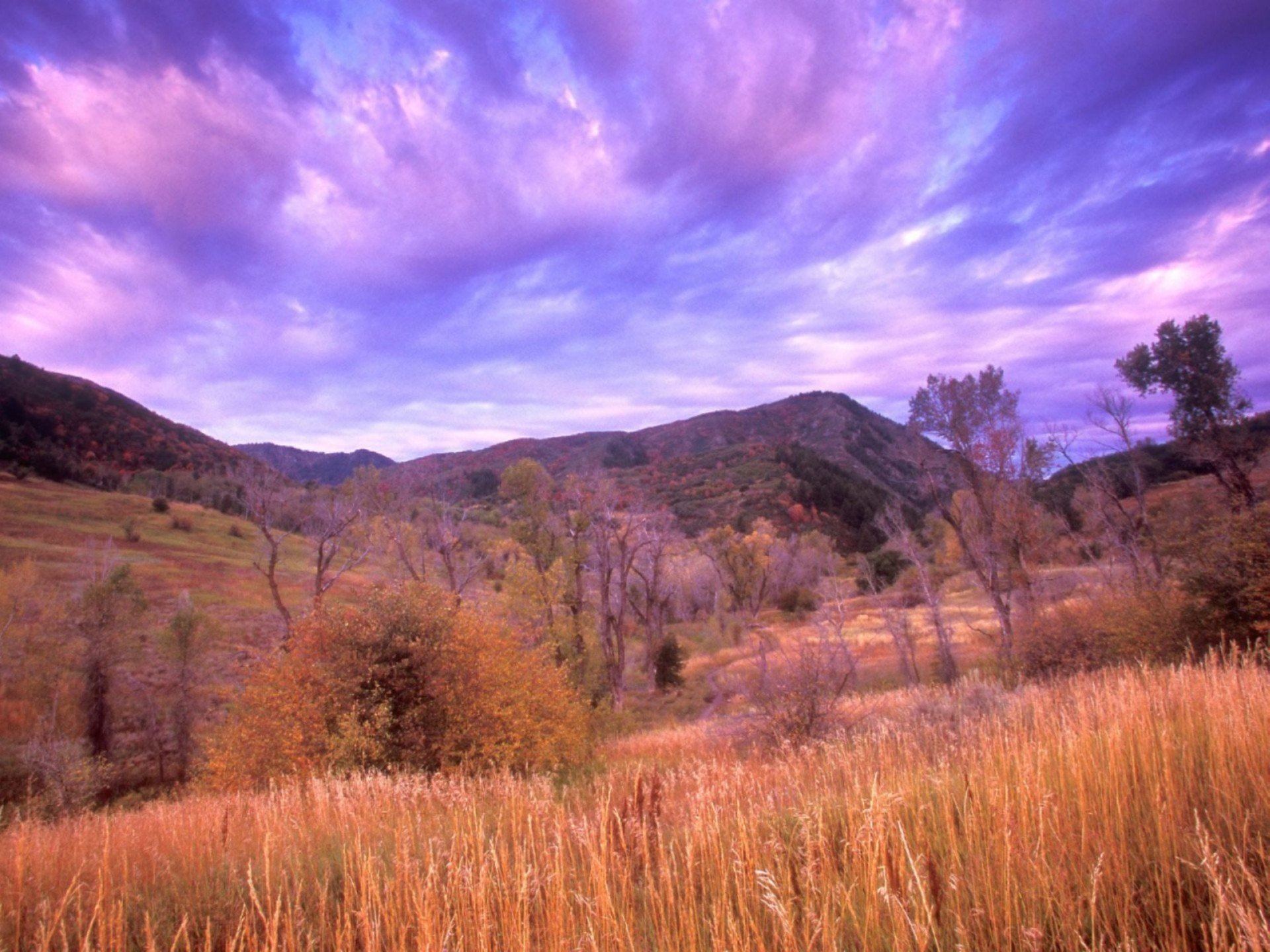 nature Wallpaper