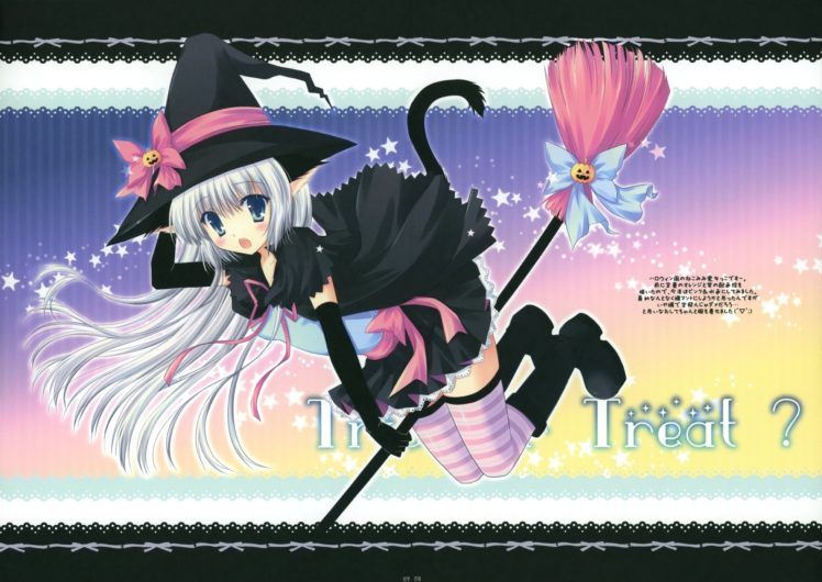 witch, Halloween, Nekomimi, Anime HD Wallpaper Desktop Background