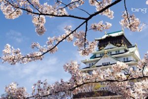 landscapes, Nature, Cherry, Blossoms, Oriental, Spring, Flowers, Temple