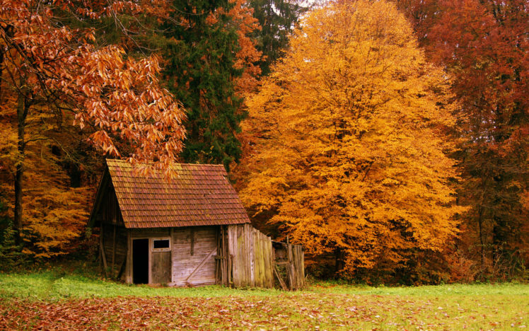 landscapes, Forest, Autumn, Fall, Leaves, Colors, Architecture HD Wallpaper Desktop Background