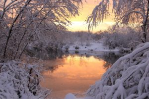 snow, Trees, Ponds, Snow, Landscapes