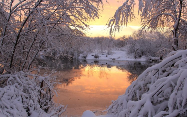 snow, Trees, Ponds, Snow, Landscapes HD Wallpaper Desktop Background