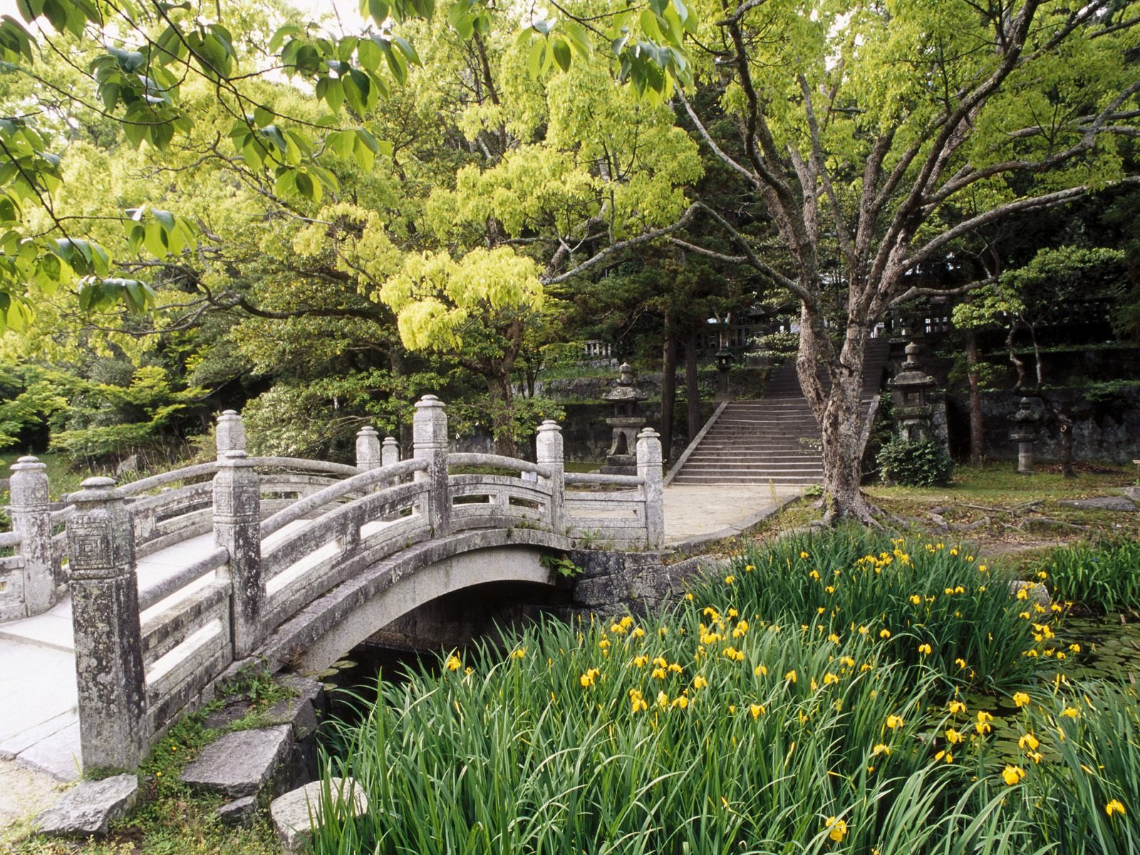 nature, Trees, Grass, Bridges Wallpaper