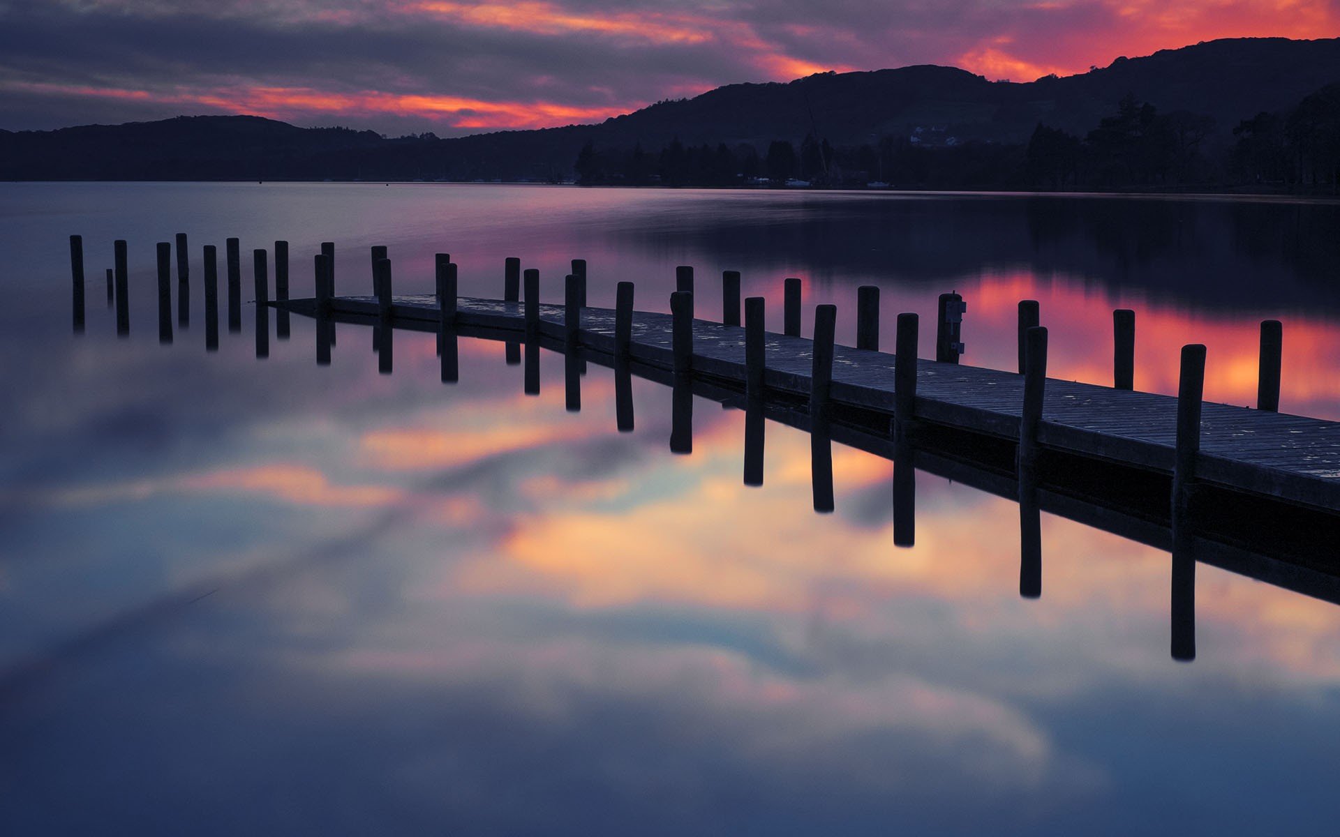 landscapes, Flowers Wallpaper