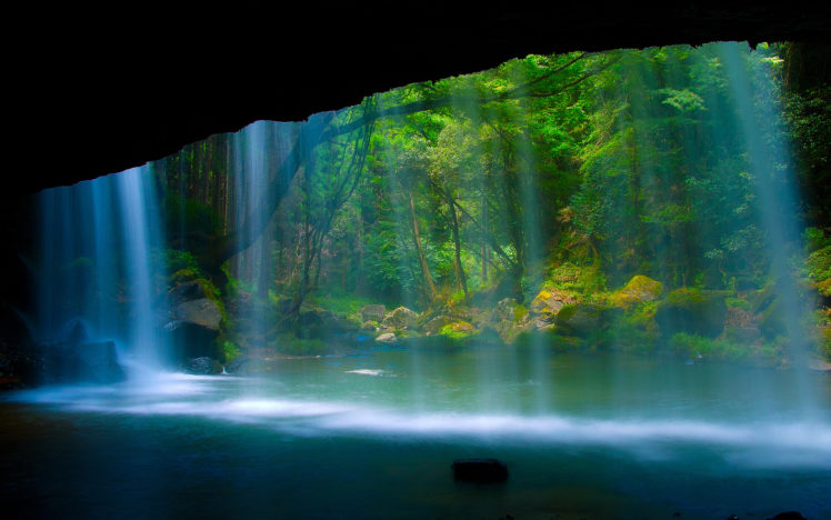 trees, Forest, Waterfalls, Water, Pool, Rivers HD Wallpaper Desktop Background