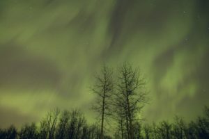 aurora, Borealis, Canada, Alberta