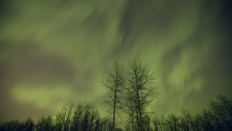 aurora, Borealis, Canada, Alberta HD Wallpaper Desktop Background