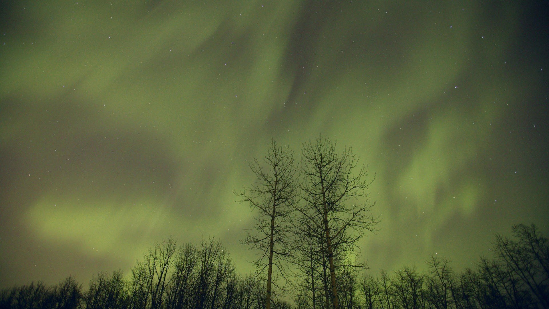 aurora, Borealis, Canada, Alberta Wallpaper