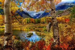 autmn, Fall, Seasons, Lakes, Leaves, Reflection, Mountains, Colors, Hdr