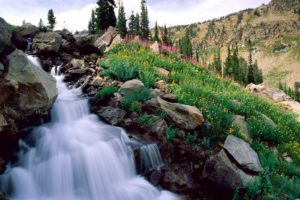 nature, Spring, Grand, National, Waterfalls