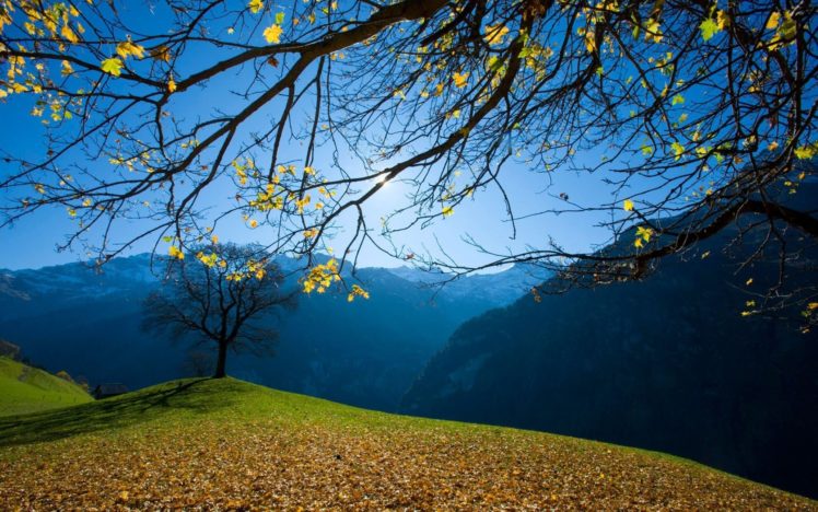 mountains, Landscapes, Trees HD Wallpaper Desktop Background