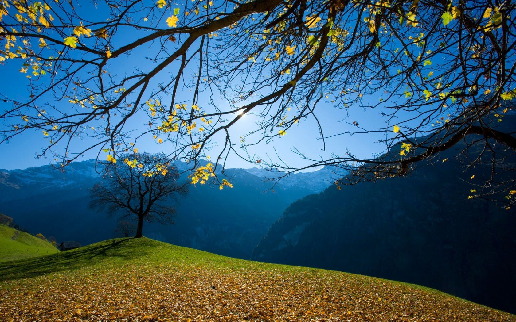 mountains, Landscapes, Trees Wallpaper