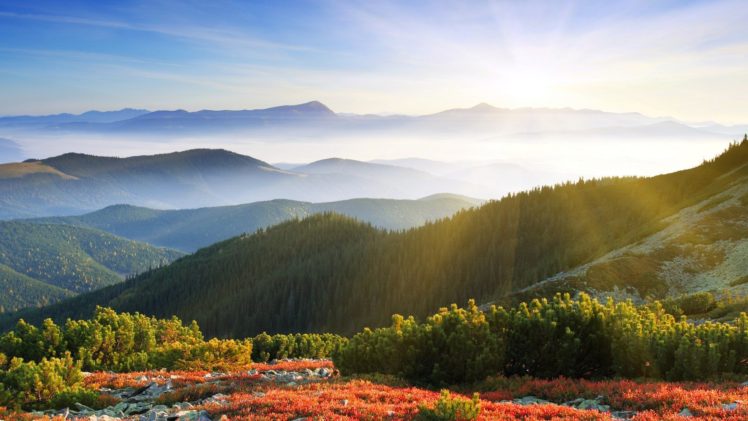 mountains, Landscapes, Nature, Trees, Forests, Hills HD Wallpaper Desktop Background