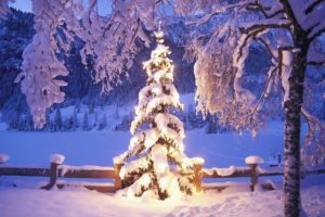 landscapes, Nature, Winter, Snow, Trees, Night