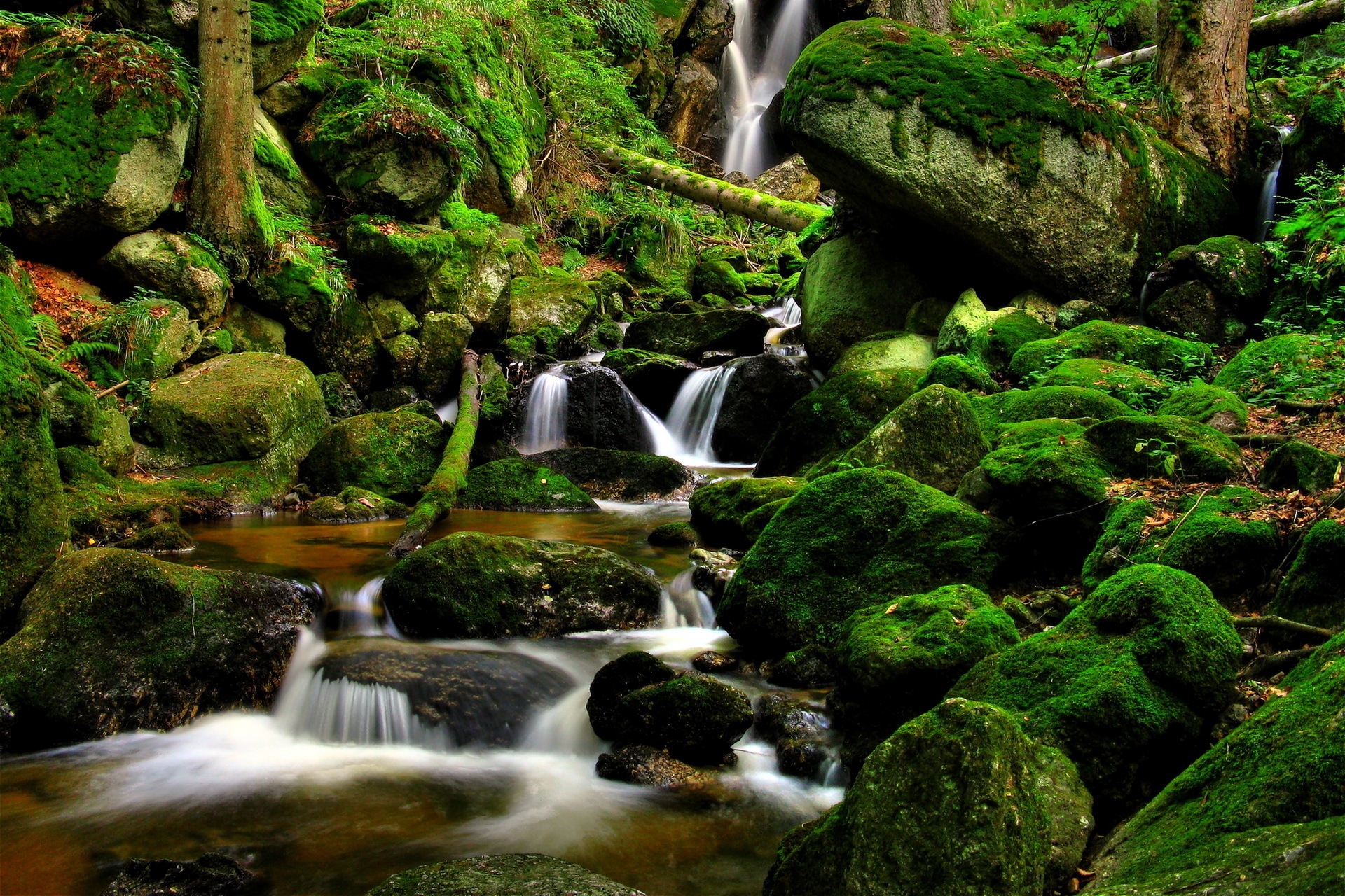nature, Landscapes, Waterfalls, Trees, Forest, Moss, Rocks, Stream, Rivers, Green Wallpaper