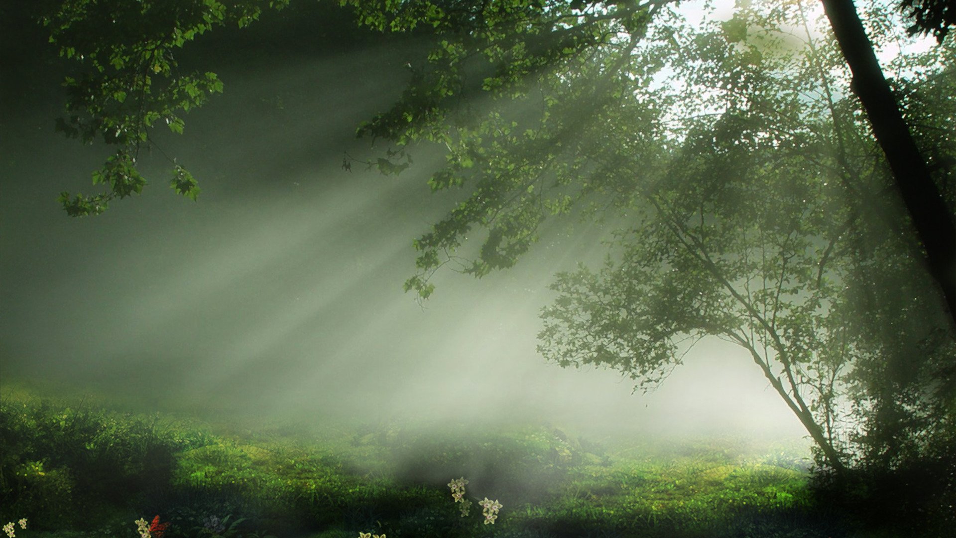 landscapes, Nature Wallpaper