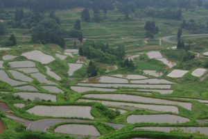 japan, Landscapes, Rice