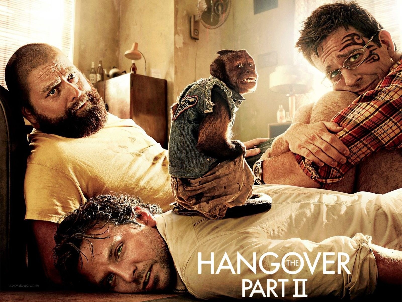 movies, Bradley, Cooper, The, Hangover, Part, Ii, Ed, Helms Wallpaper