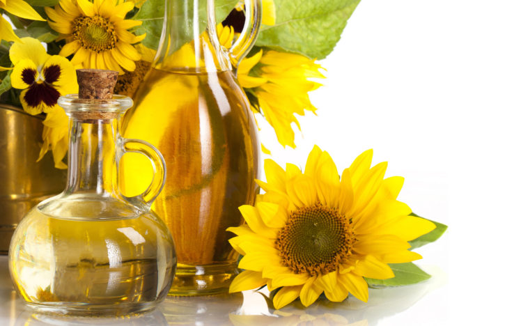 nature, Flower, Sunflower, Yellow, Still, Life, Oil, Vase, Glass, Photography, Petals HD Wallpaper Desktop Background