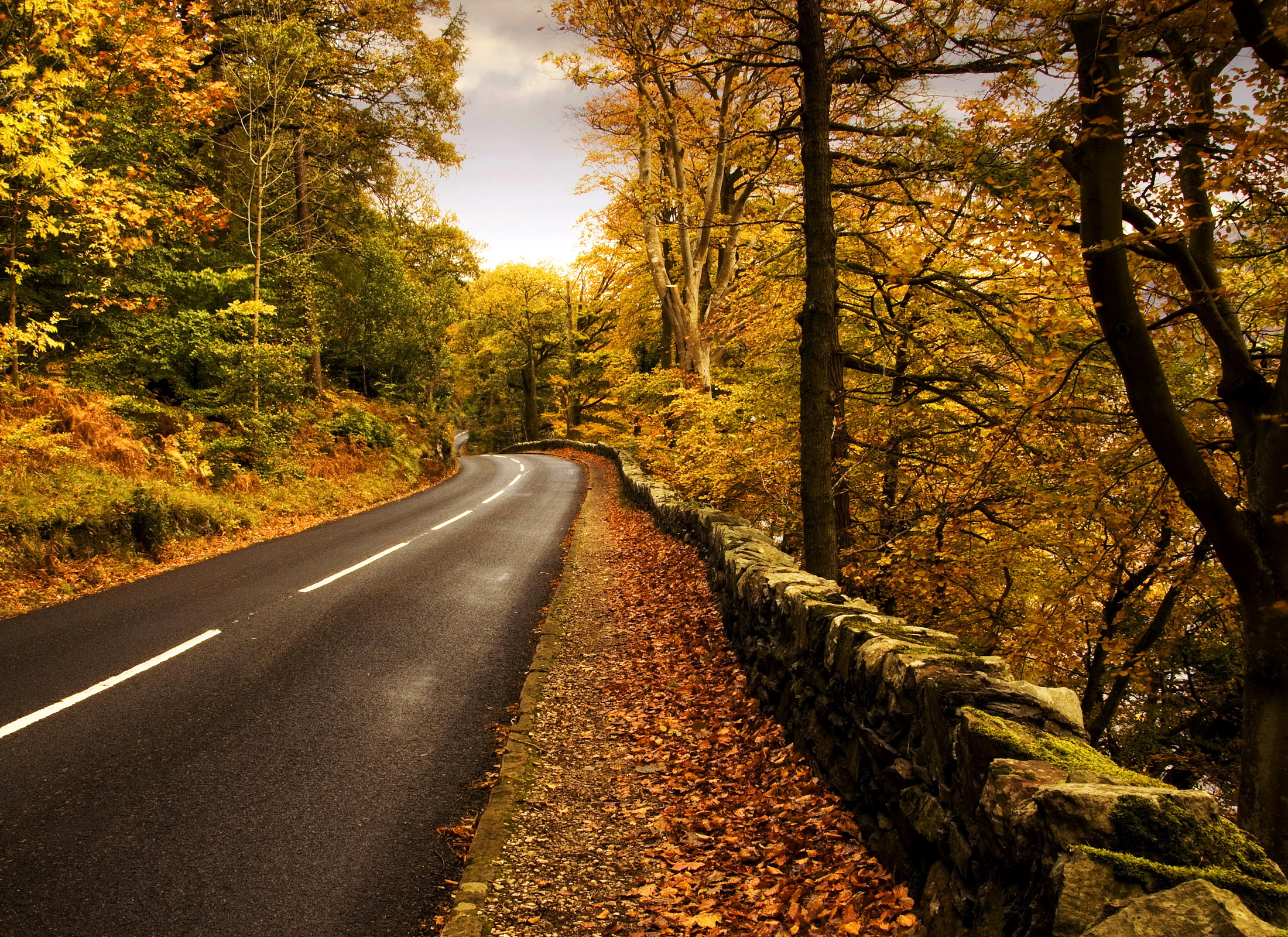 nuture, Landscapes, Roads, Fence, Stripes, Stone, Rocks, Leaves, Trees, Forests, Skies, Sky, Clouds, Colors Wallpaper