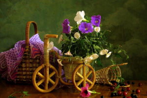 nature, Flowers, Petals, Still, Life, Country, Photography, Artistic, Berries, Basket, Fruit, Wood, Wheels, Bicycles, Decoration
