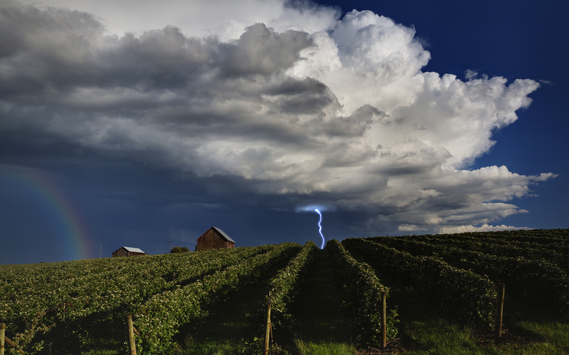 nature, Landscapes, Fields, Storm, Rain, Lightning, Sky, Clouds, Skies