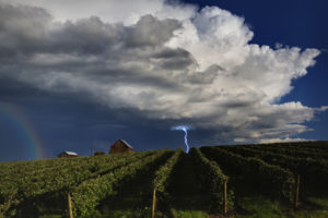nature, Landscapes, Fields, Storm, Rain, Lightning, Sky, Clouds, Skies, Rainbow, Farm, Weather, Vineyard, Rows, Architecture, Buildings, Houses, Barn