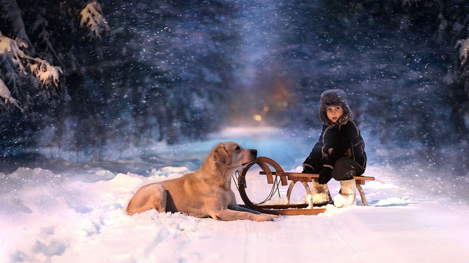 holidays, Christmas, Winter, Snow, Seasons, Seasonal, Roads, Snowing, Snowflakes, Trees, Forest, Night, Lights, Animals, Dogs, Children, Mood, Fun, Sled, Vehicles, Friends, Love, Scenic, Photography Wallpaper