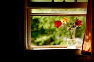 nature, Flowers, Still, Life, Vase, Glass, Petals, Colors, Window, Curtain, Room, Photography, Water, Sunlight