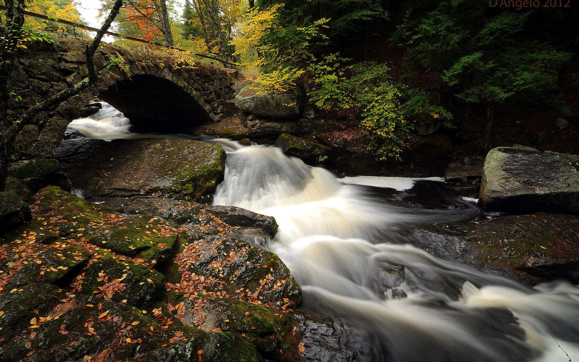 nature, Landscape, Waterfall, Water, Stream, Rocks, Leaves, Timelapse, Trees, Forest, Autumn, Fall, Seasons, Sceni Wallpaper