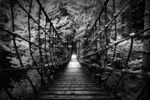 monochrome, Black, White, B w, Landscapes, Nature, Wood, Rope, Scary, Bridges, Trees, Forest, Photography, Architecture
