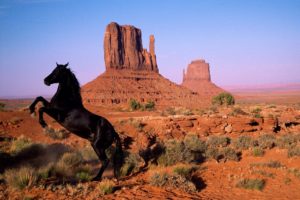 landscapes, Animals, Horses
