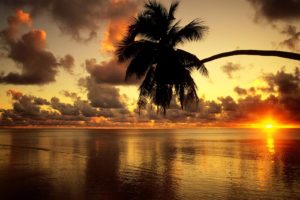 sunset, Clouds, Landscapes, Silhouettes, Palm, Trees, Lakes
