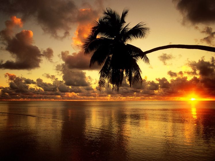sunset, Clouds, Landscapes, Silhouettes, Palm, Trees, Lakes HD Wallpaper Desktop Background