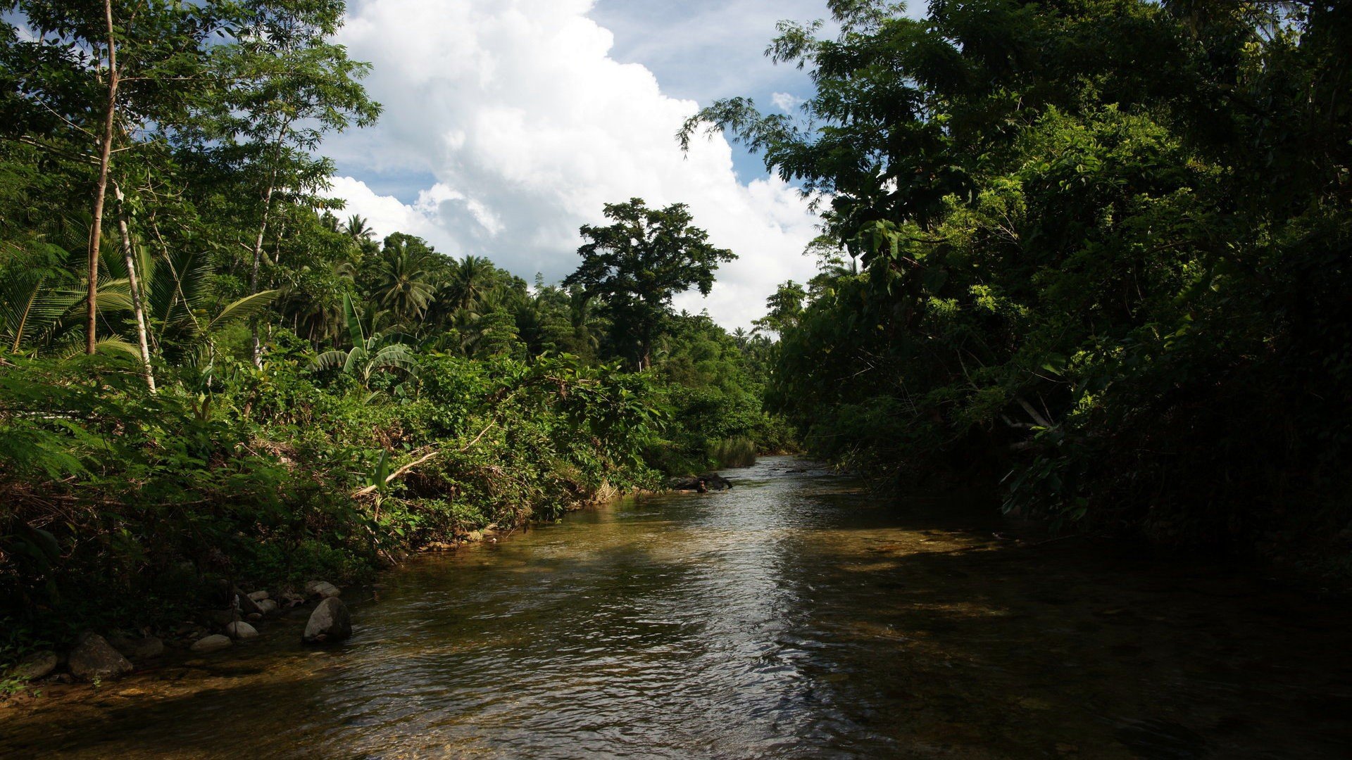 landscapes Wallpaper