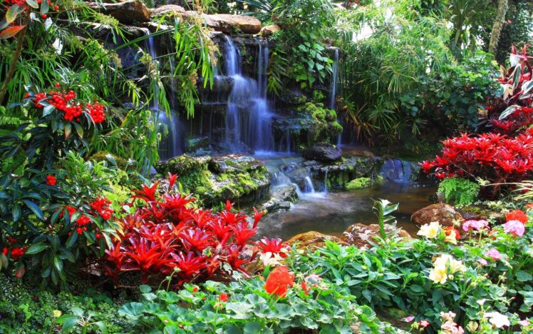 nature, Landscapes, Garden, Plants, Flowers, Pool, Trees, Colors, Leaves HD Wallpaper Desktop Background