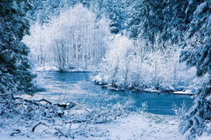 nature, Landscapes, Winter, Snow, Frost, Rivers, Shore, Trees, Forest, Seasonal