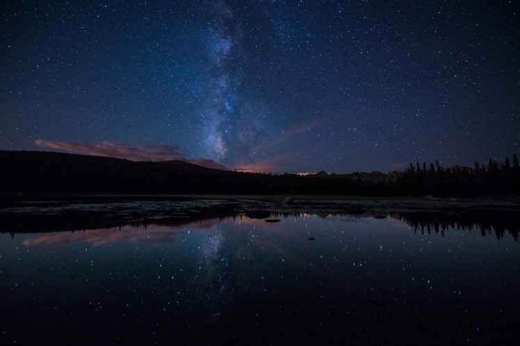 milky, Way, Stars, Forest, Lake, Night HD Wallpaper Desktop Background