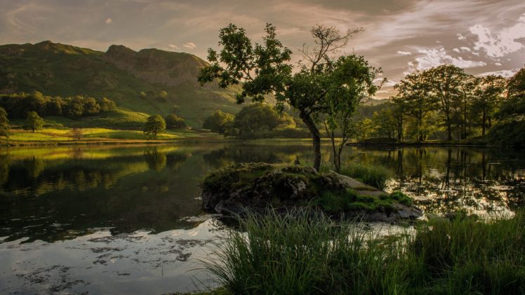 mountains, Evening, Lake, Trees HD Wallpaper Desktop Background