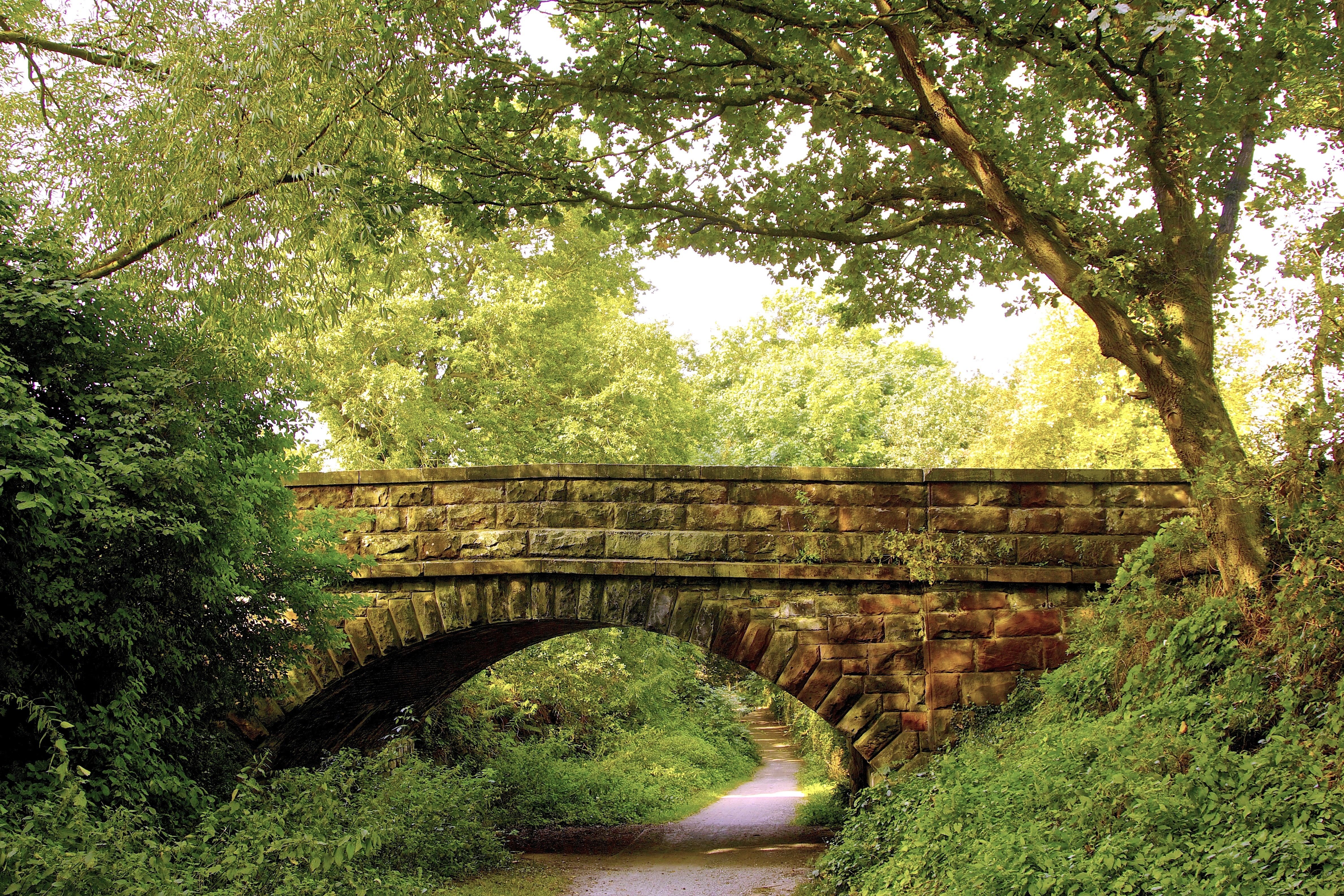 park, Forest, Trees, Bridge, Footpath, Landscape Wallpaper