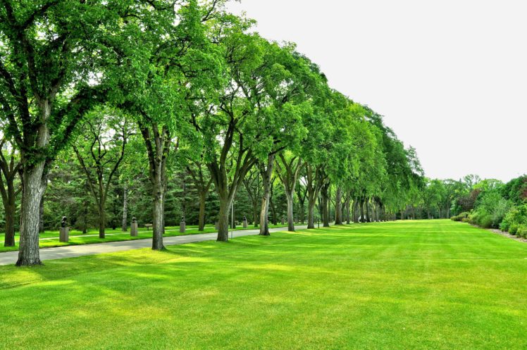 park, Trees, Road, Field, Lawn Wallpapers HD / Desktop and Mobile  Backgrounds
